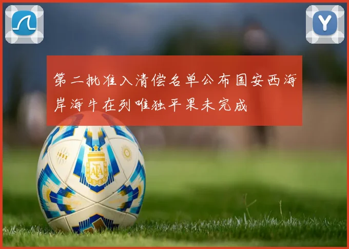 第二批准入清偿名单公布国安西海岸海牛在列唯独平果未完成