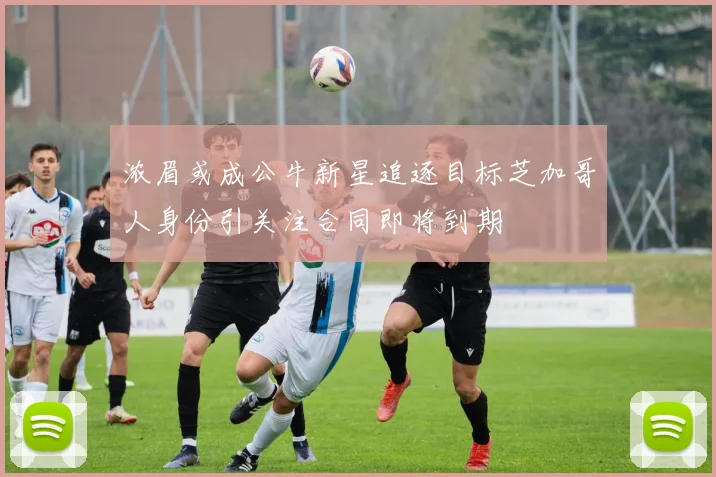 浓眉或成公牛新星追逐目标芝加哥人身份引关注合同即将到期