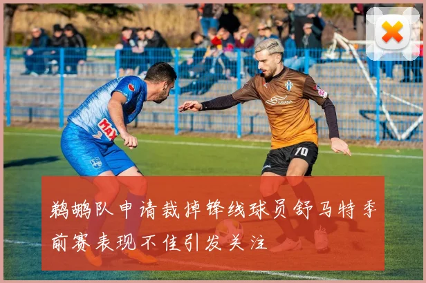 鹈鹕队申请裁掉锋线球员舒马特季前赛表现不佳引发关注