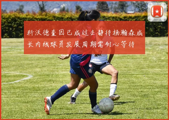 科沃德奎因已成过去静待杨瀚森成长内线球员发展周期需耐心等待
