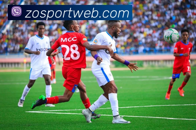 App Interface Preview